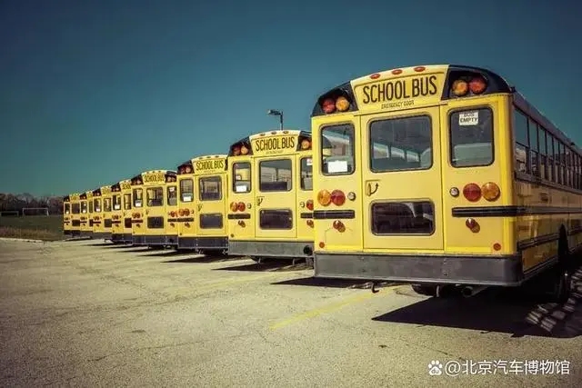 「安全教育日」安全“童”行，快來get√校車安全知識