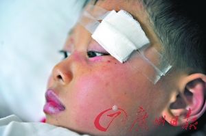 貨車“咬”校車 40師生受傷(組圖)