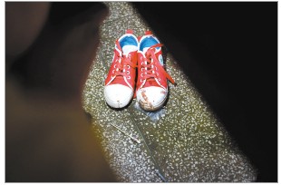 學(xué)生沒校車行路難 晉江公路車禍致兩女生身亡