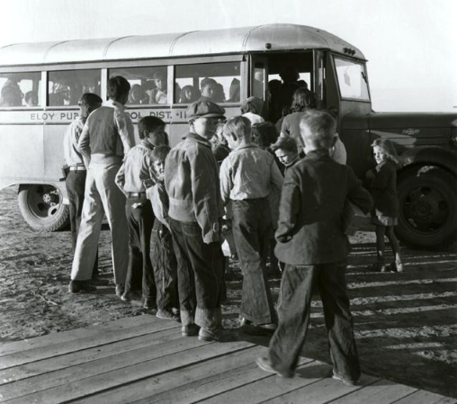 美國校車為什么都是“暖黃色”？