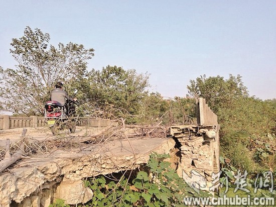 楚天都市報訊 本報記者張皓