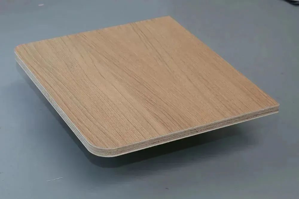 校車環保避坑指南,帶你漲知識啦! 圖片