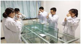 校車環保避坑指南,帶你漲知識啦! 房車環保避坑指南,帶你漲知識啦!