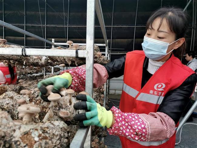 “孩子上學有校車,上班就在家門口”舟曲搬遷群眾在“移民新村”的幸福生活 “孩子上學有校車,上班就在家門口”舟曲搬遷群眾在“移民新村”的幸福生活
