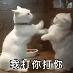 交警集中嚴查校車,“問題”車輛立即整改!孩子乘坐校車要注意十個細節(jié)…… 交警集中嚴查校車,“問題”車輛立即整改!孩子乘坐校車要注意十個細節(jié)……