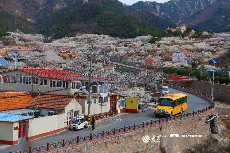 全國首個校車運營服務管理團體標準正式發布/ 全國首個校車運營服務管理團體標準正式發布
