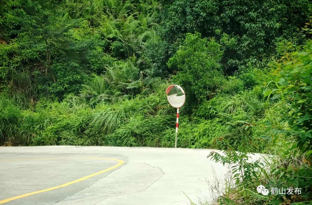 滴!滴!滴!古勞茶山村校車專線開通! 滴!滴!滴!古勞茶山村校車專線開通!