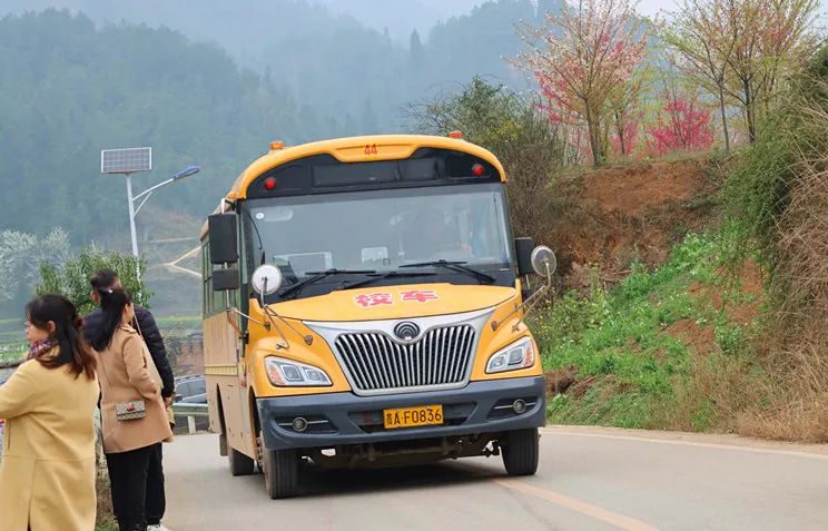 以事故為鏡強責任,嚴抓校車安全保平安 圖片