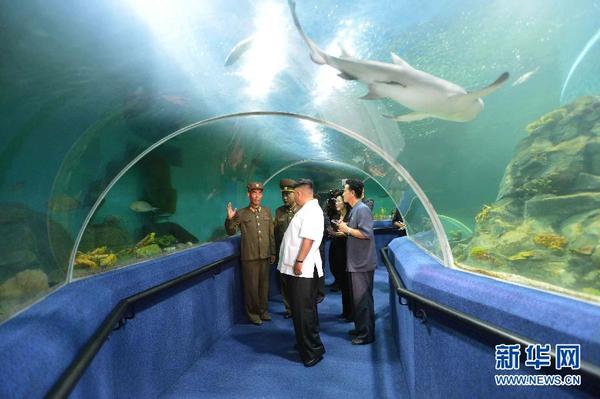 韓媒：金正日母校校車墜谷致逾50死 多名高干子女罹難