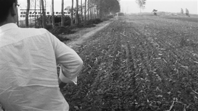 黑校車沖入麥田逃走