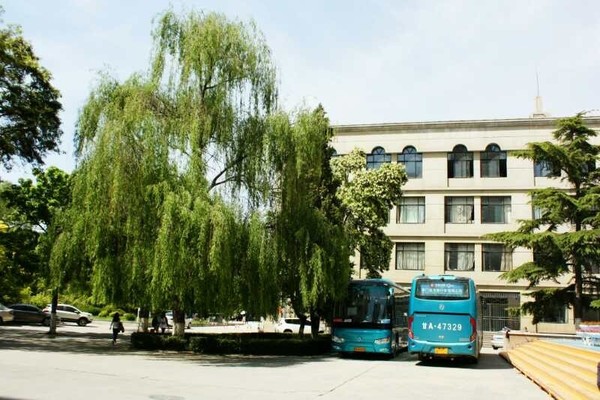 蘭大微變化 | 這些校車安全細節你一定要知道 蘭大微變化 | 這些校車安全細節你一定要知道