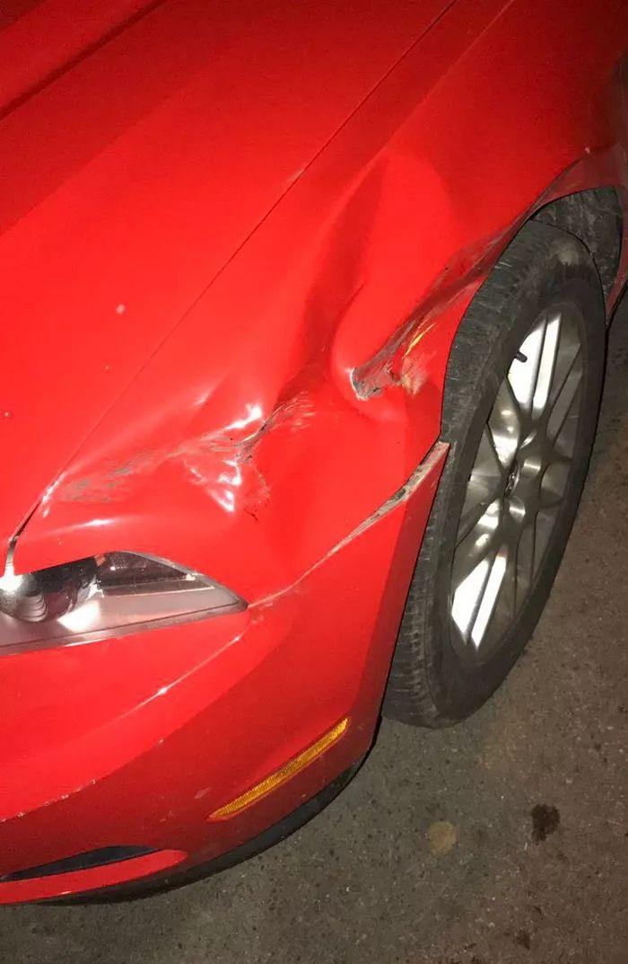 校車肇事逃逸，卻萬萬沒想到被這個人檢舉了