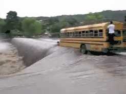 美國校車/ 美國校車