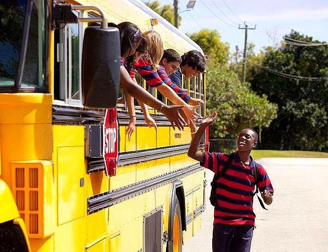 美國校車/ 美國校車