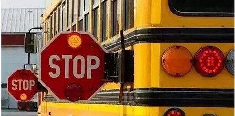 美國校車/ 美國校車