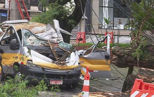 烏拉圭:米納斯一校車被樹砸中 司機死前叫喊救孩子 米納斯一校車被樹砸中 司機死前叫喊救孩子