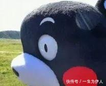 專車接送!咱肥東這38所學校已經開通校車啦,有你家附近的嗎? 專車接送!咱肥東這38所學校已經開通校車啦,有你家附近的嗎?