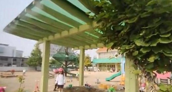 日本幼兒園的一日生活:每天校車接送,兩次戶外活動,無午睡時間 日本幼兒園的一日生活:每天校車接送,兩次戶外活動,無午睡時間