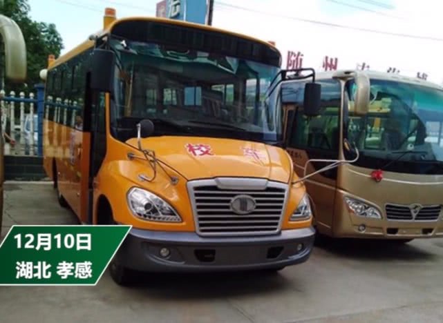 校車女司機遭家長砍傷毀容,警方:是她先挑起事端的 圖片