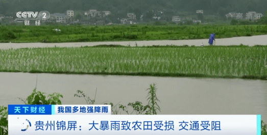緊急！緊急！84條河流現超警洪水！上萬畝農田被淹，校車陷1米深積水…