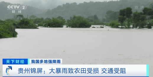 緊急！緊急！84條河流現超警洪水！上萬畝農田被淹，校車陷1米深積水…