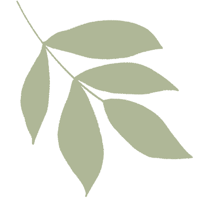 筑牢安全防線,守護快樂成長——留古鎮(zhèn)中心幼兒園校車安全應急演練活動 圖片