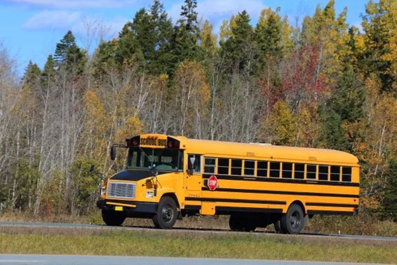 美國校車故事-究竟是誰高“車”一等? 美國校車故事-究竟是誰高“車”一等?