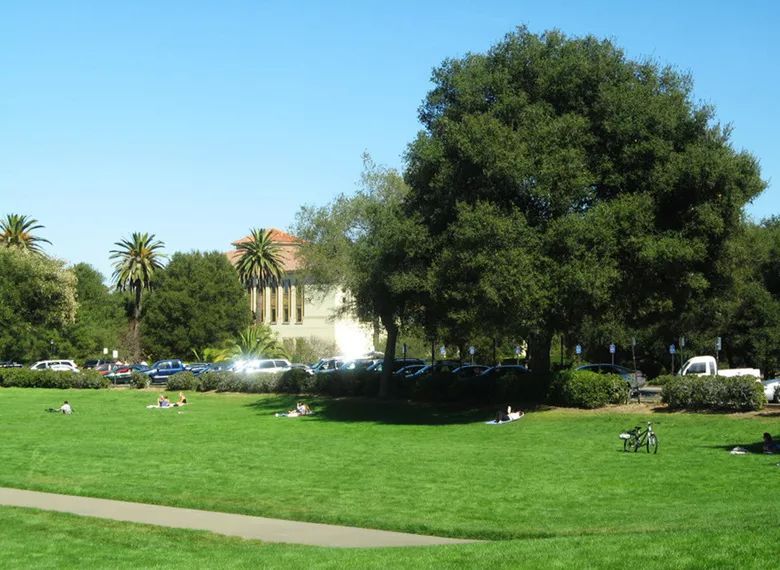 美國校車故事-究竟是誰高“車”一等? 美國校車故事-究竟是誰高“車”一等?