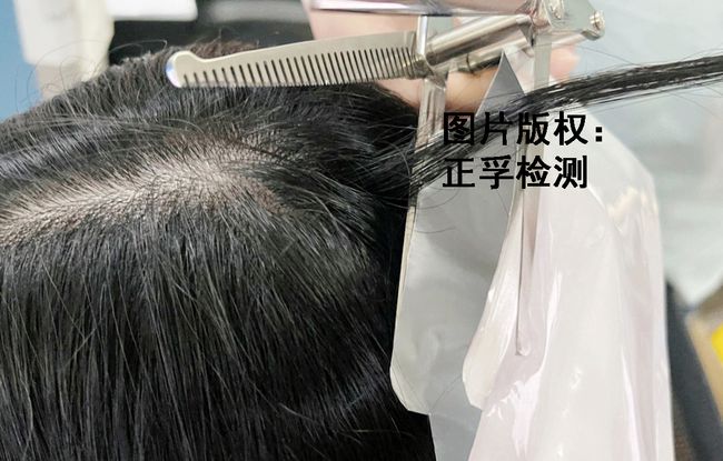 校車司機毛發檢測/ 校車司機毛發檢測